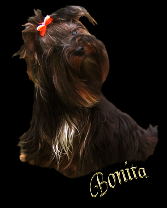 BONITA