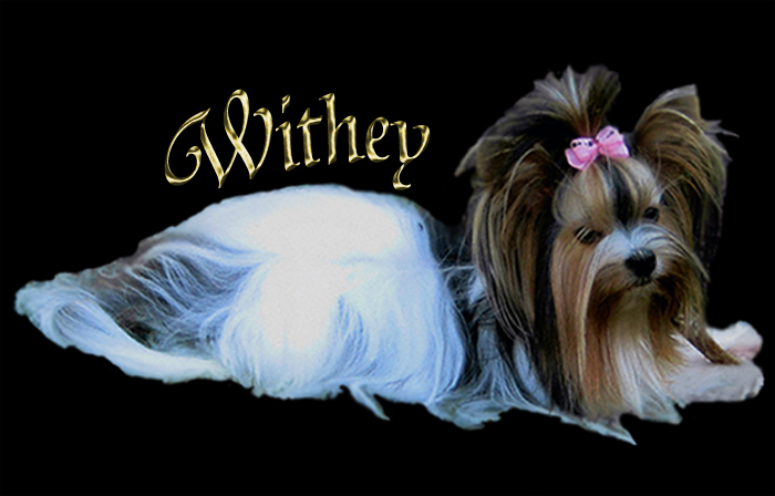 ASHLEY IN WITHE